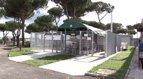 fonte immagine:https://www.controluce.it/notizie/energie-rinnovabili-biogas-enea-presenta-innovativo-impianto-compatto-ad-alto-rendimento/
