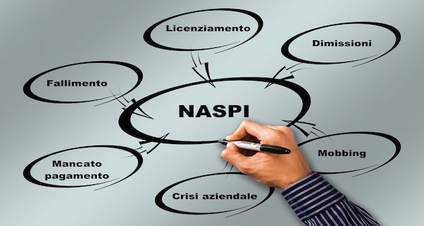 naspi.jpg
