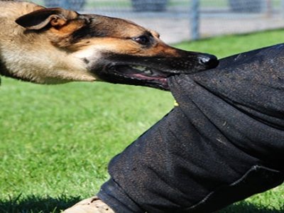'È RESPONSABILE DEL REATO DI LESIONI PERSONALI COLPOSE IL PADRONE DEL CANE CHE SCAPPANDO AGGREDISCE UN PASSANTE'